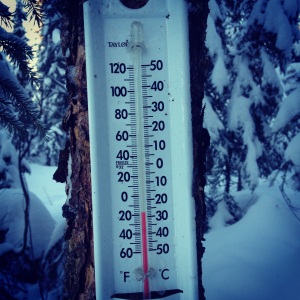 Thermometer in the woods
