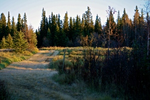 Trail2