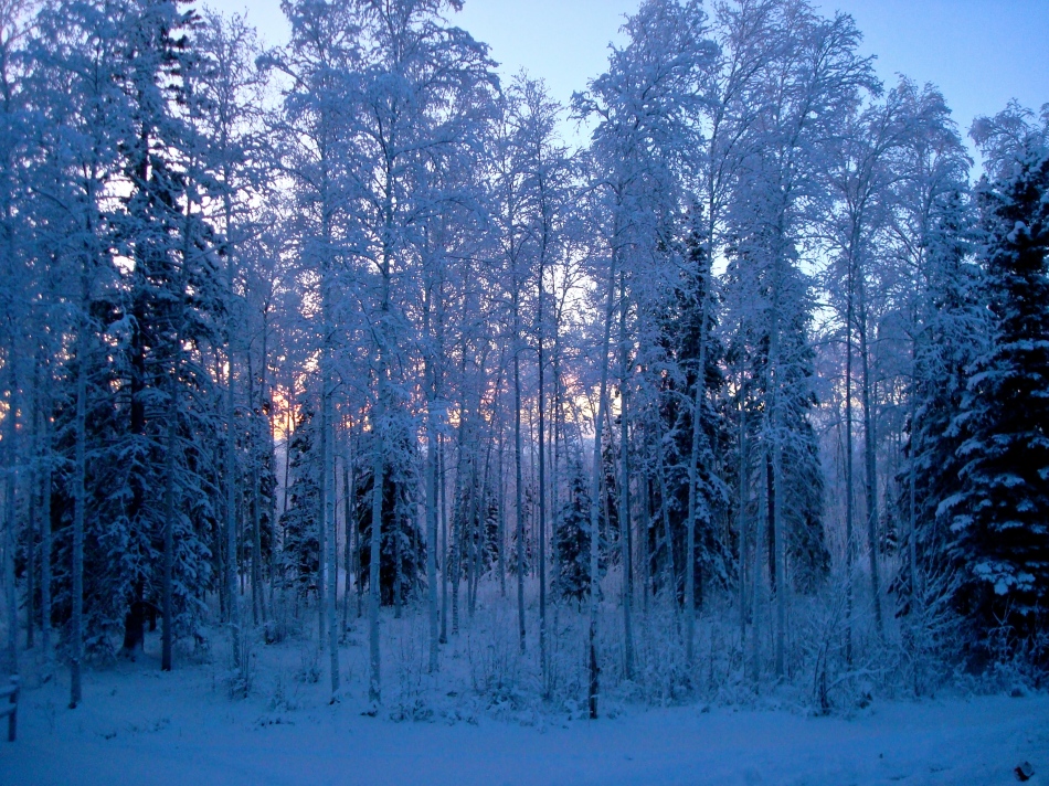 First Winter in Alaska