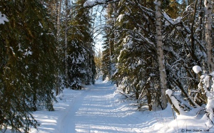 Main Trail